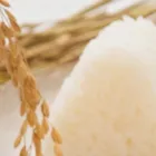 代表あいさつ